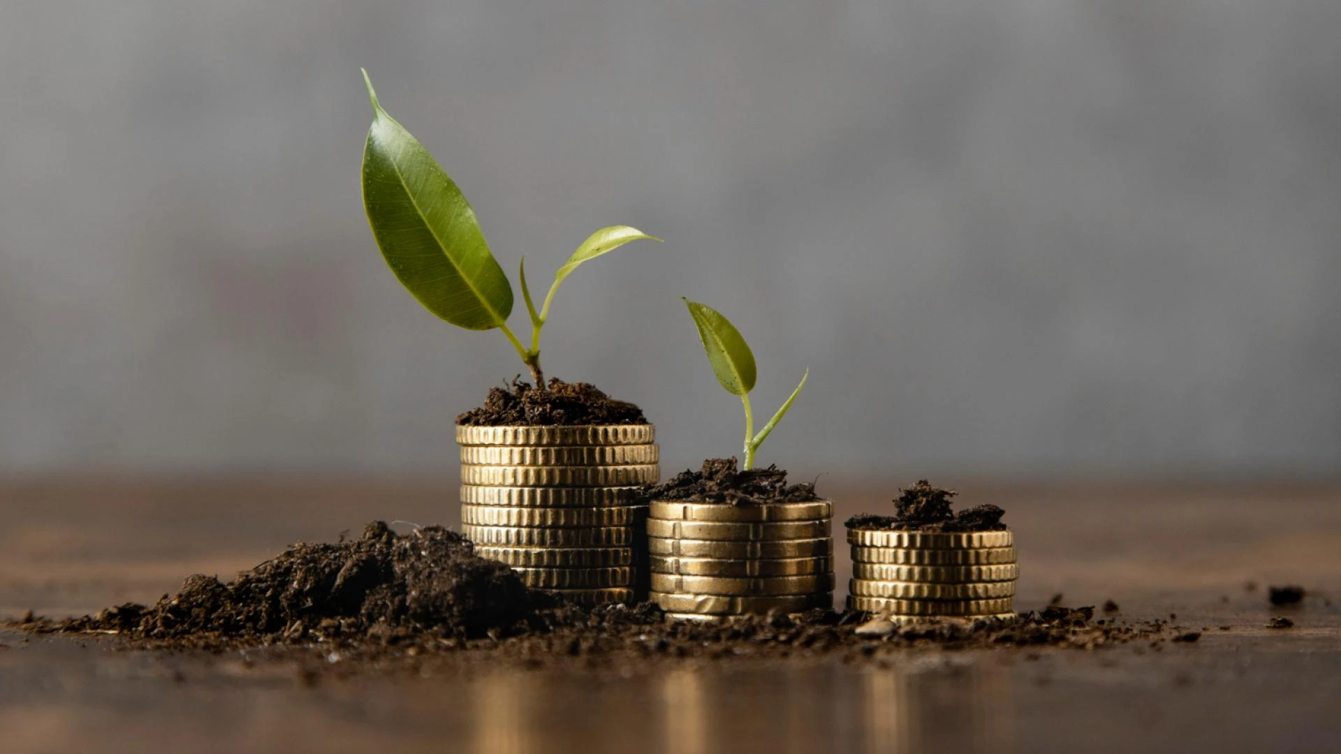 What Does a Mutual Fund Distributor Do? Complete Overview