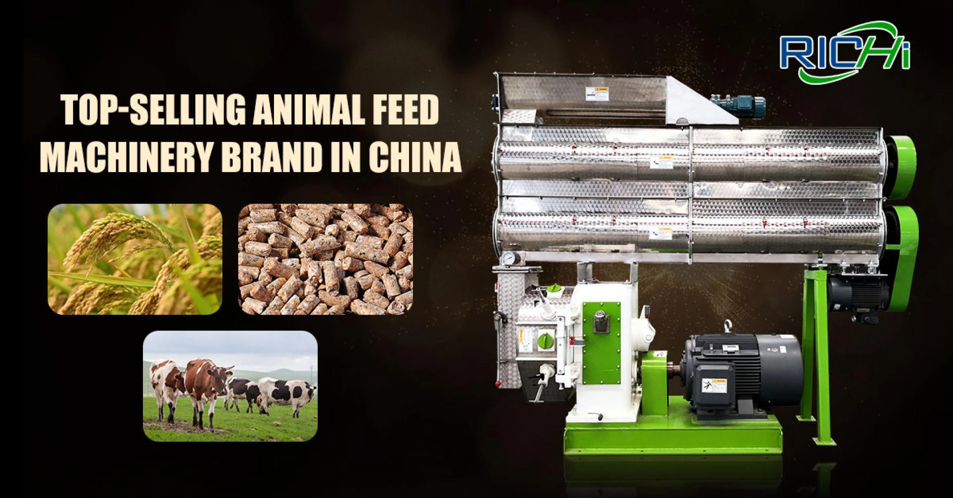 Cattle Feed Manufacturing Plant Expense: A Comprehensive Manual for Feed Sector Assets