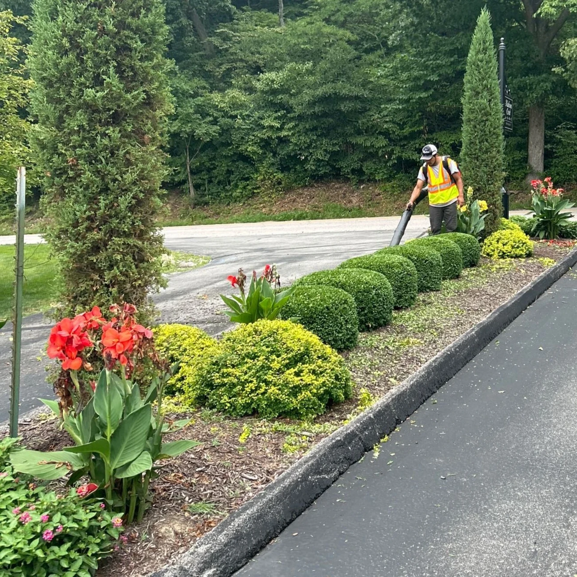 Protecting Property Value Through Proactive Landscape Care