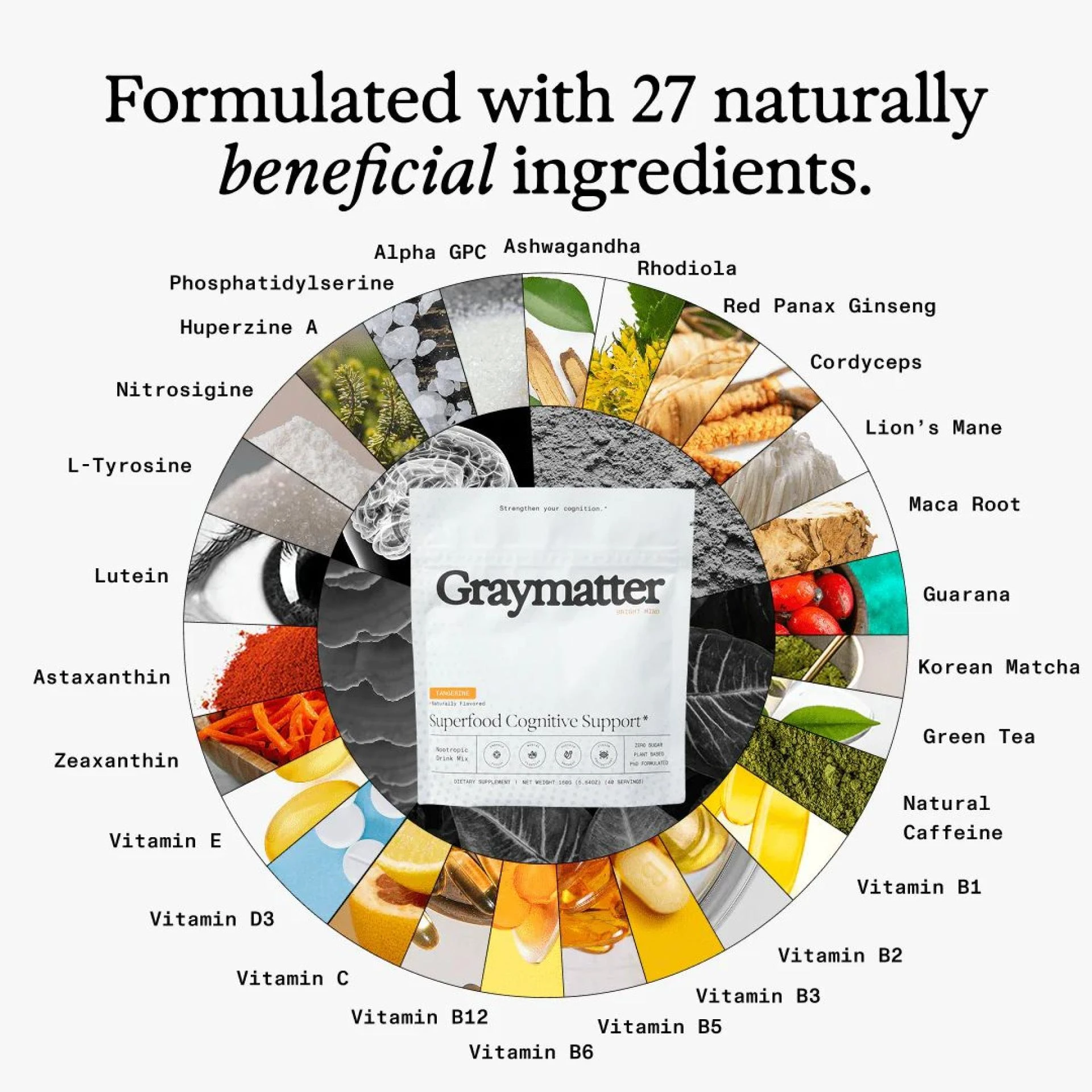 Cognitive Supplements: A Simple Guide to Focus & Memory