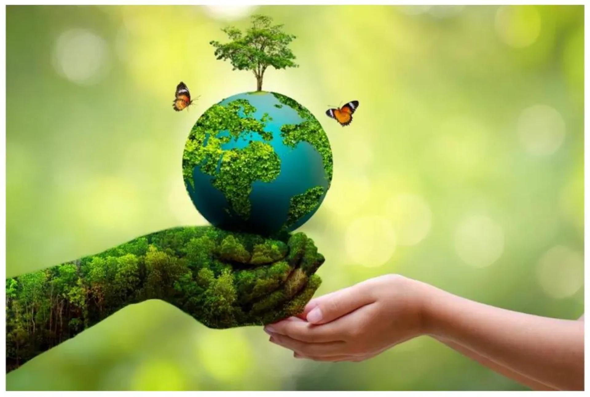 The Future of Assurance: AI, Blockchain, and Continuous Non-Financial Auditing