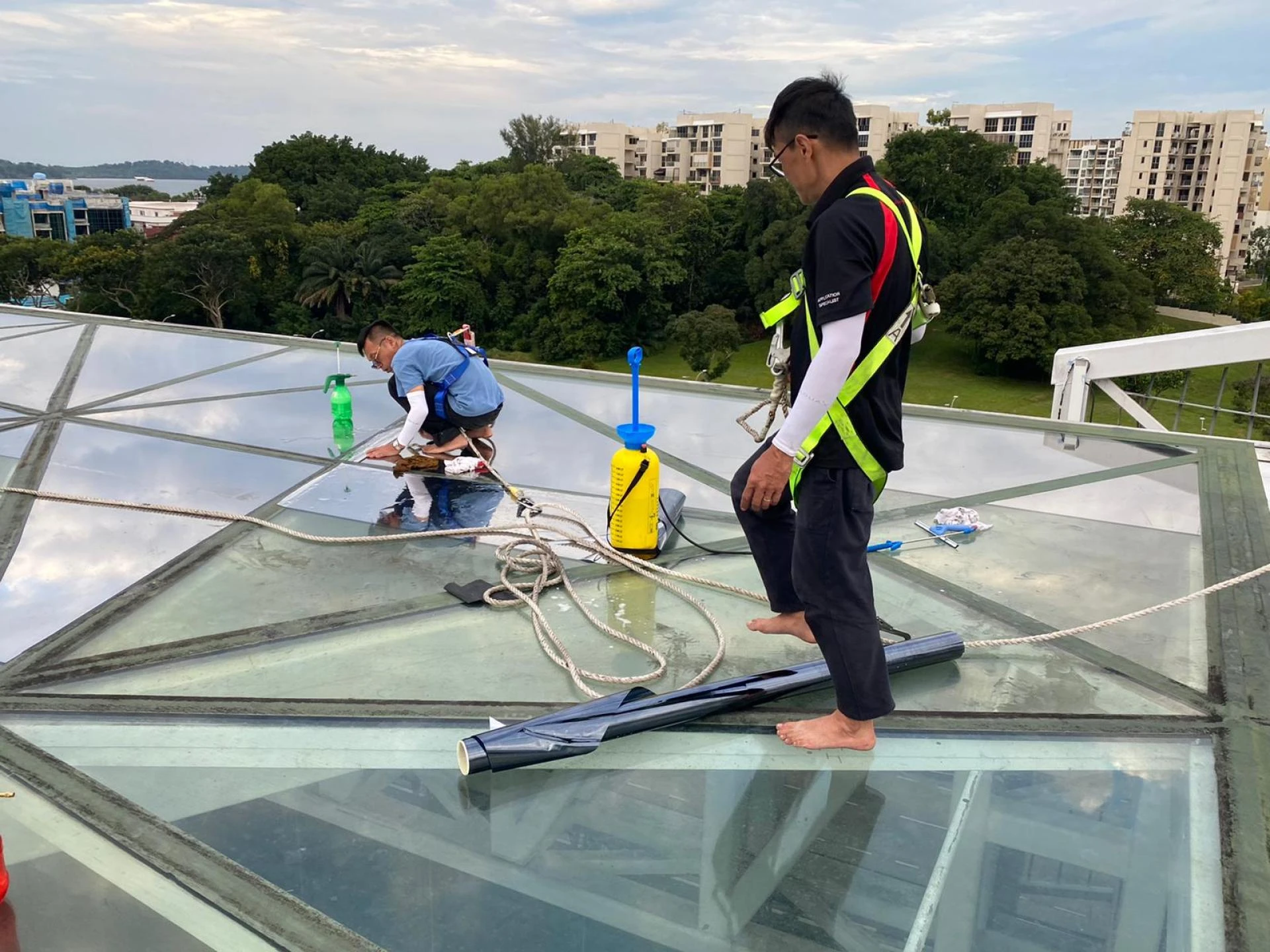 Maximize Comfort and Privacy with Commercial Solar and Window Films in Singapore