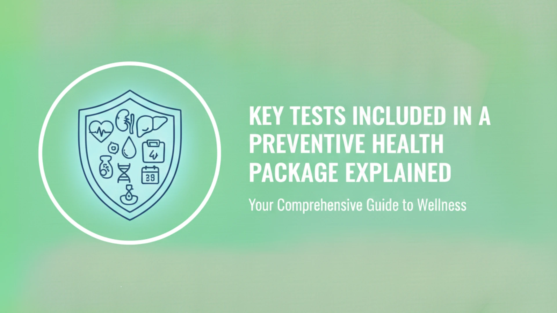 Key Tests Included in a Preventive Health Package Explained