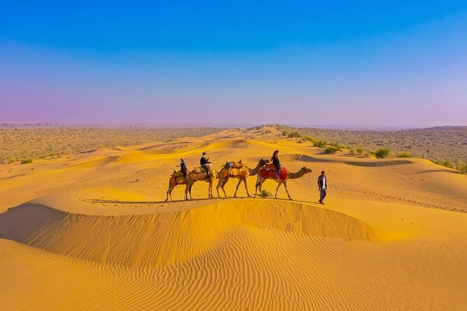 Explore Jaisalmer Desert with a Slow and Scenic Camel Ride