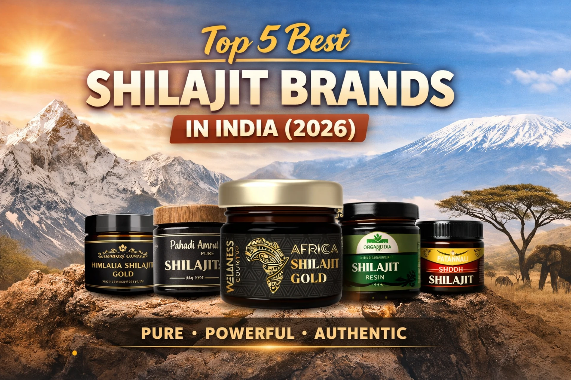 Top 5 Best Shilajit Brands in India (2026)