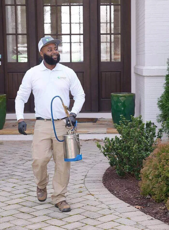 Comprehensive Termite Protection Charlotte Safeguarding Homes from Silent Invaders