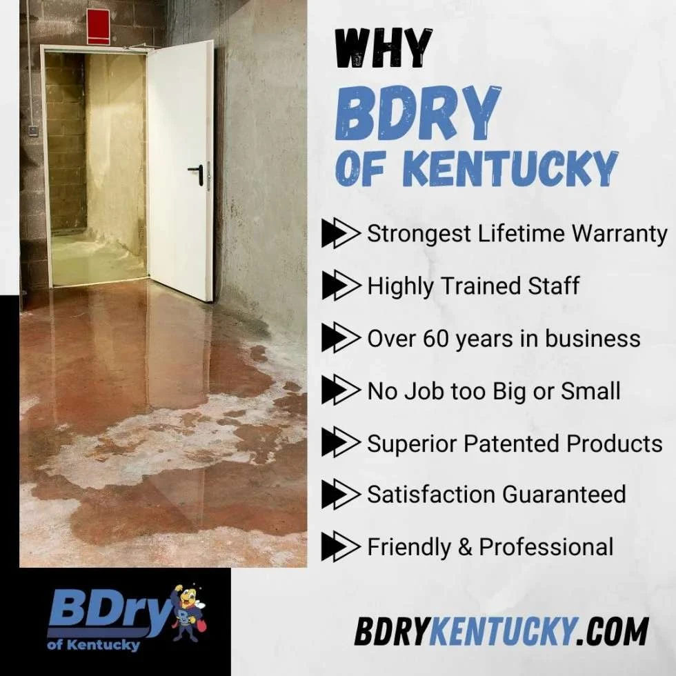 Basement & Crawl Space Waterproofing Services Homeowners Trust in Kentucky