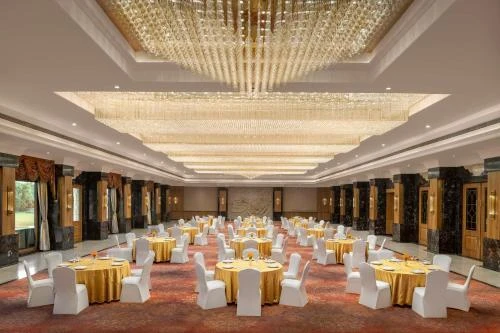 How Restaurants in Yavatmal Differ by Location and Cuisine