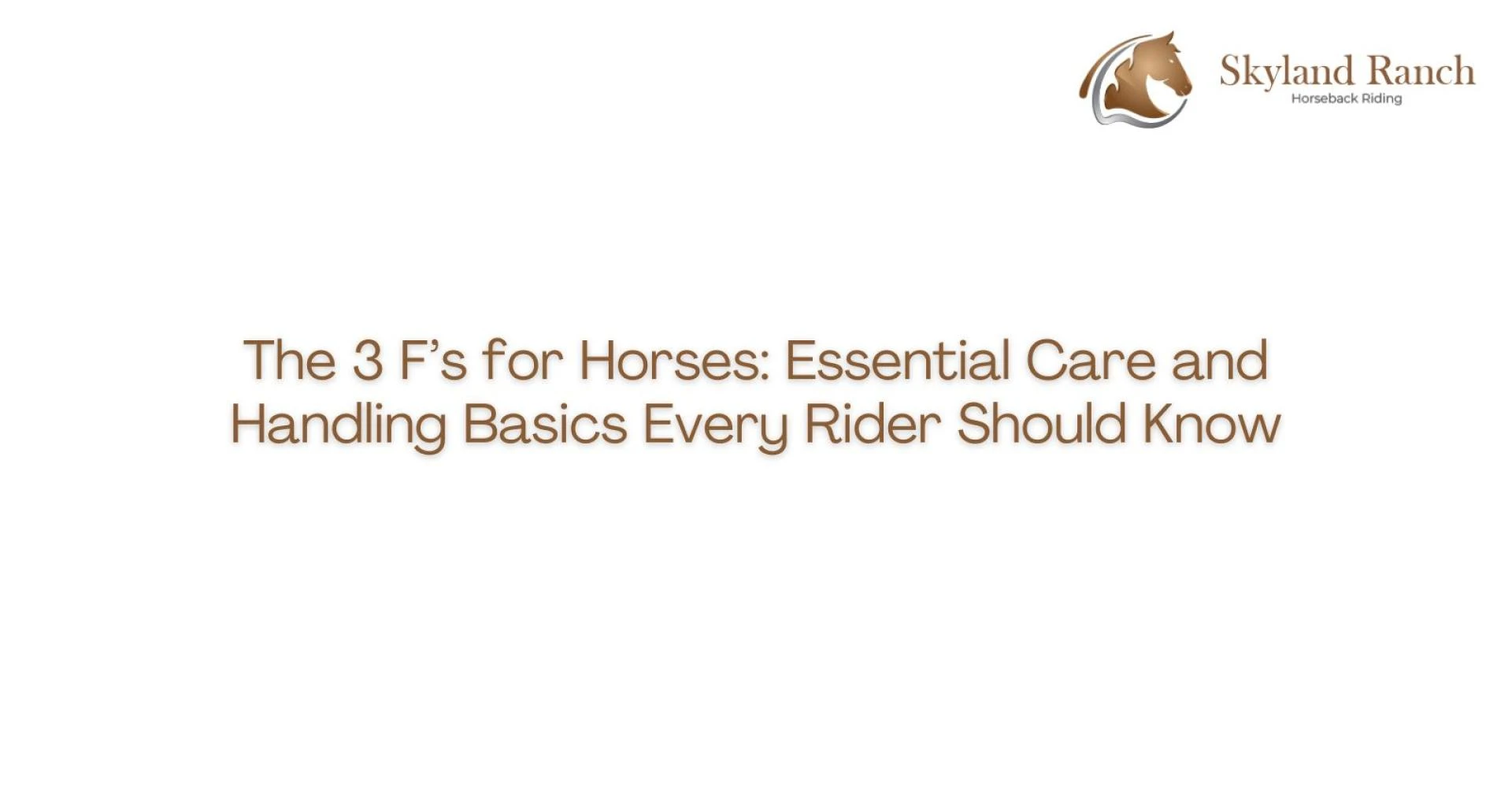 The 3 F’s for Horses: Essential Care and Handling Basics Every Rider Should Know