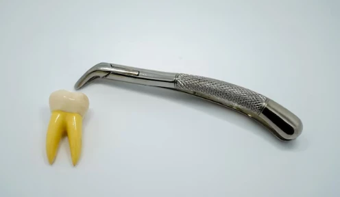 The Dangers of Using a Plaque Scraper at Home