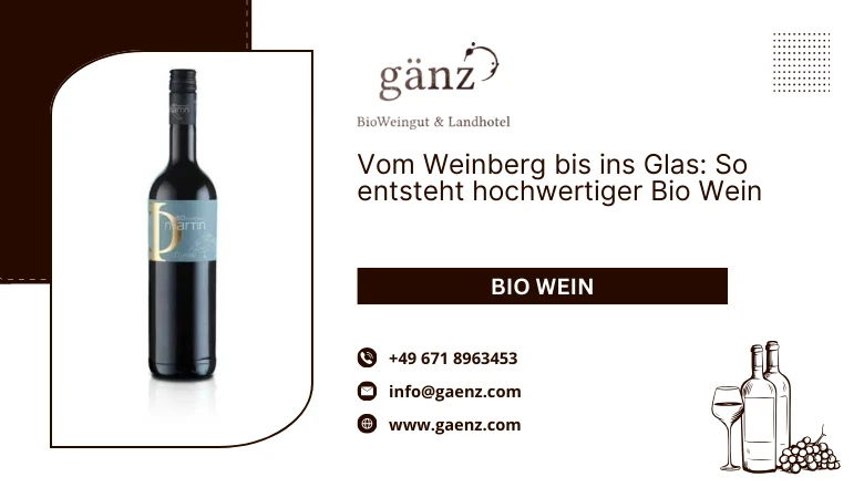 🍇 Vom Weinberg bis ins Glas: So entsteht hochwertiger Bio Wein
