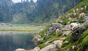 Which Routes Are Best for Trekking in Himachal Pradesh in Every Season?