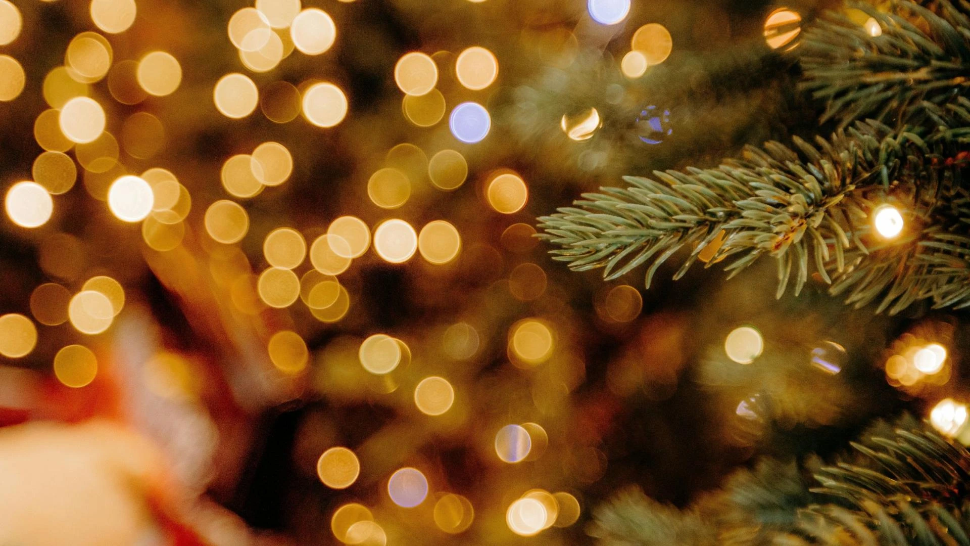 Skip the Ladder This Year: How Professional Christmas Light Installers Create a Safer, Brighter Holiday Display