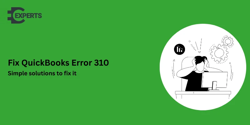 QuickBooks Error 310: How to Fix Data Validation and Record Errors