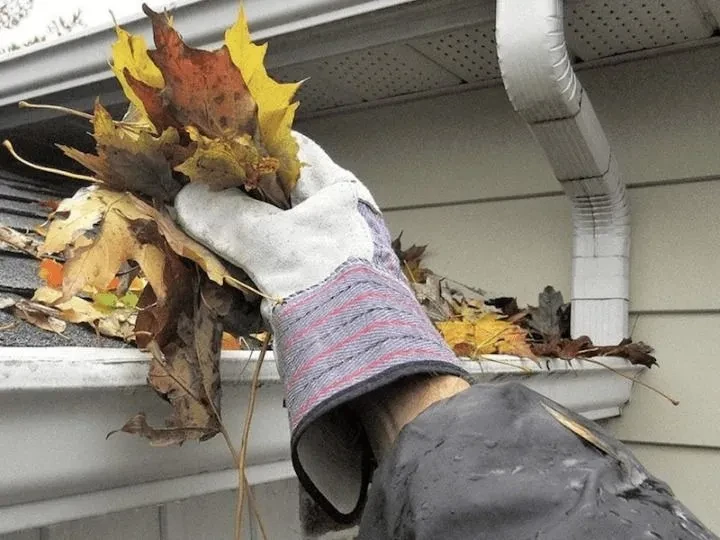What Happens If You Skip Gutter Cleaning in Colts Neck, NJ?