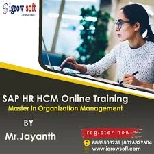 What is Time Evaluation  in SAP HR HCM?