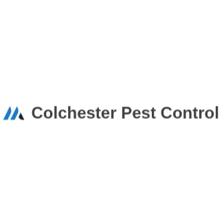 Mice Control Colchester: Complete Guide to Effective Rodent Solutions