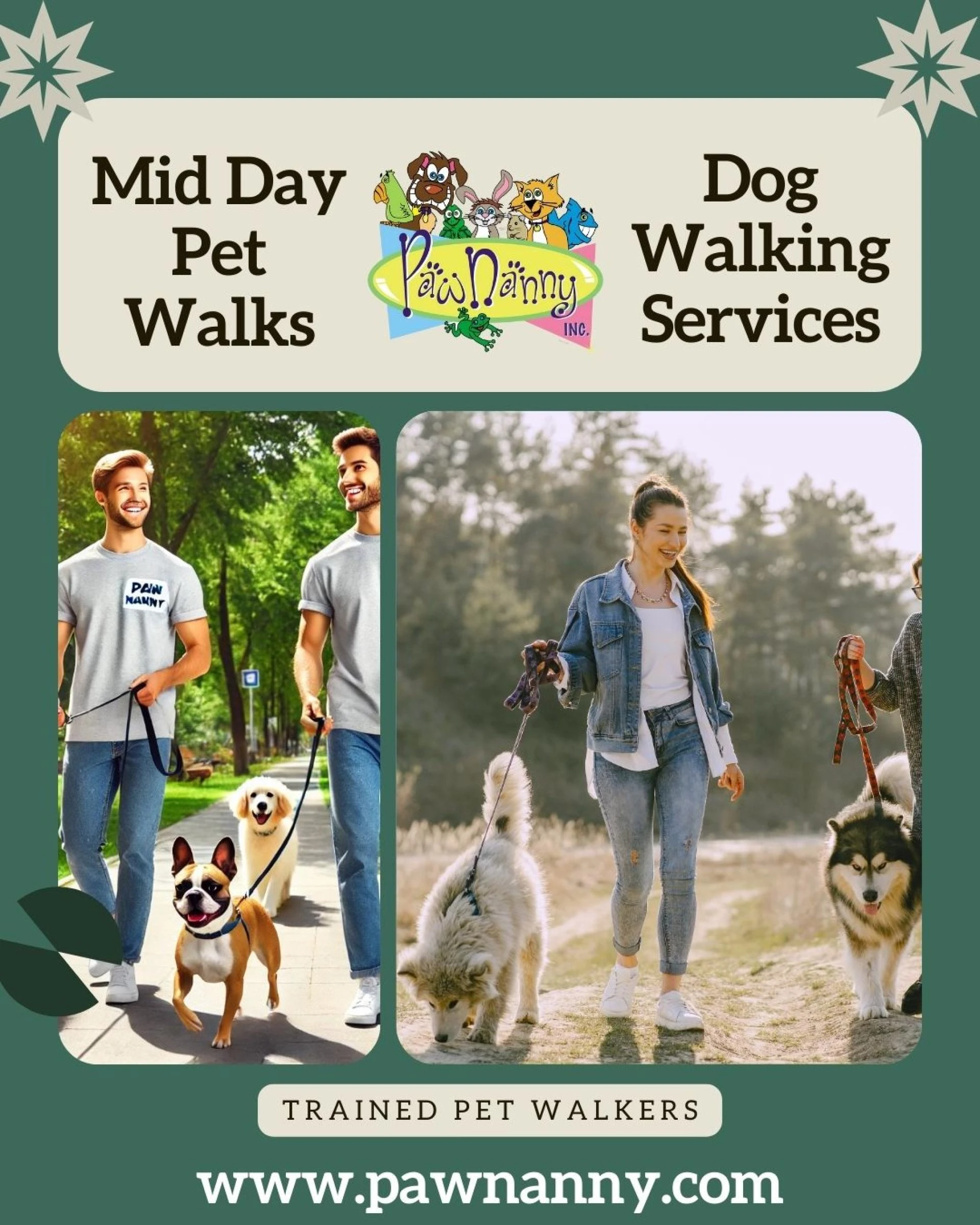 How Midday Walks Boost Your Dog's Mood: The Complete Guide.