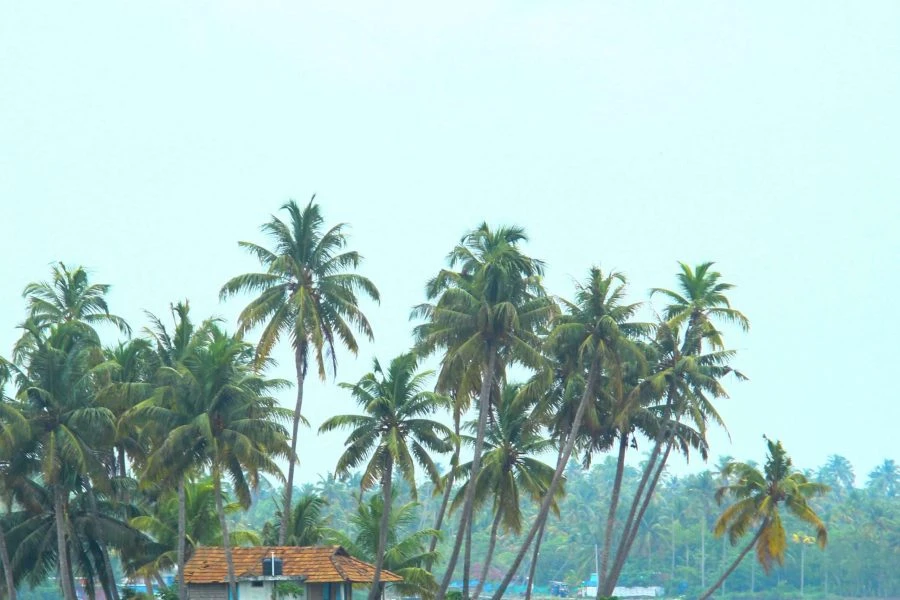 Sail into Grandeur: Discover India’s Ultimate Luxury Cruise Experience with Cordelia Cruises