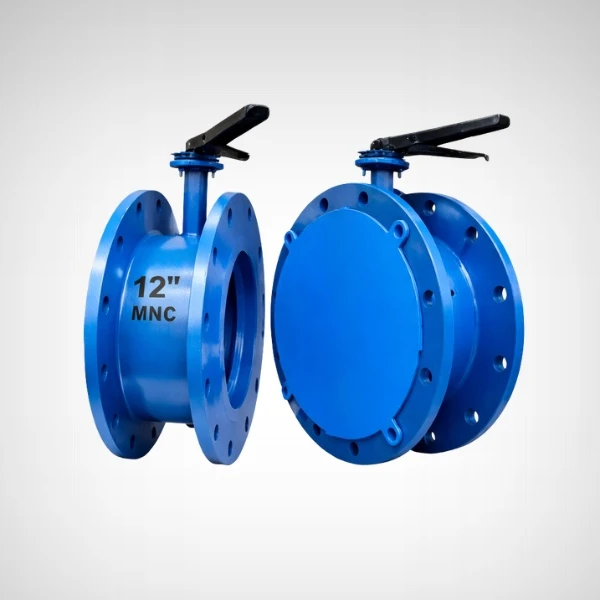 Butterfly Valve Manufacturers & Suppliers in Ahmedabad, India – Trusted Solutions by MNC Valves