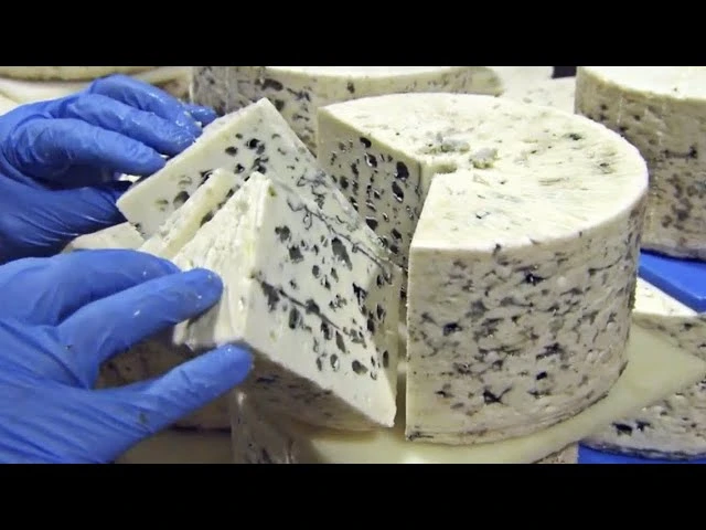 Blue Cheese Market Forecasting from 2025 to 2031