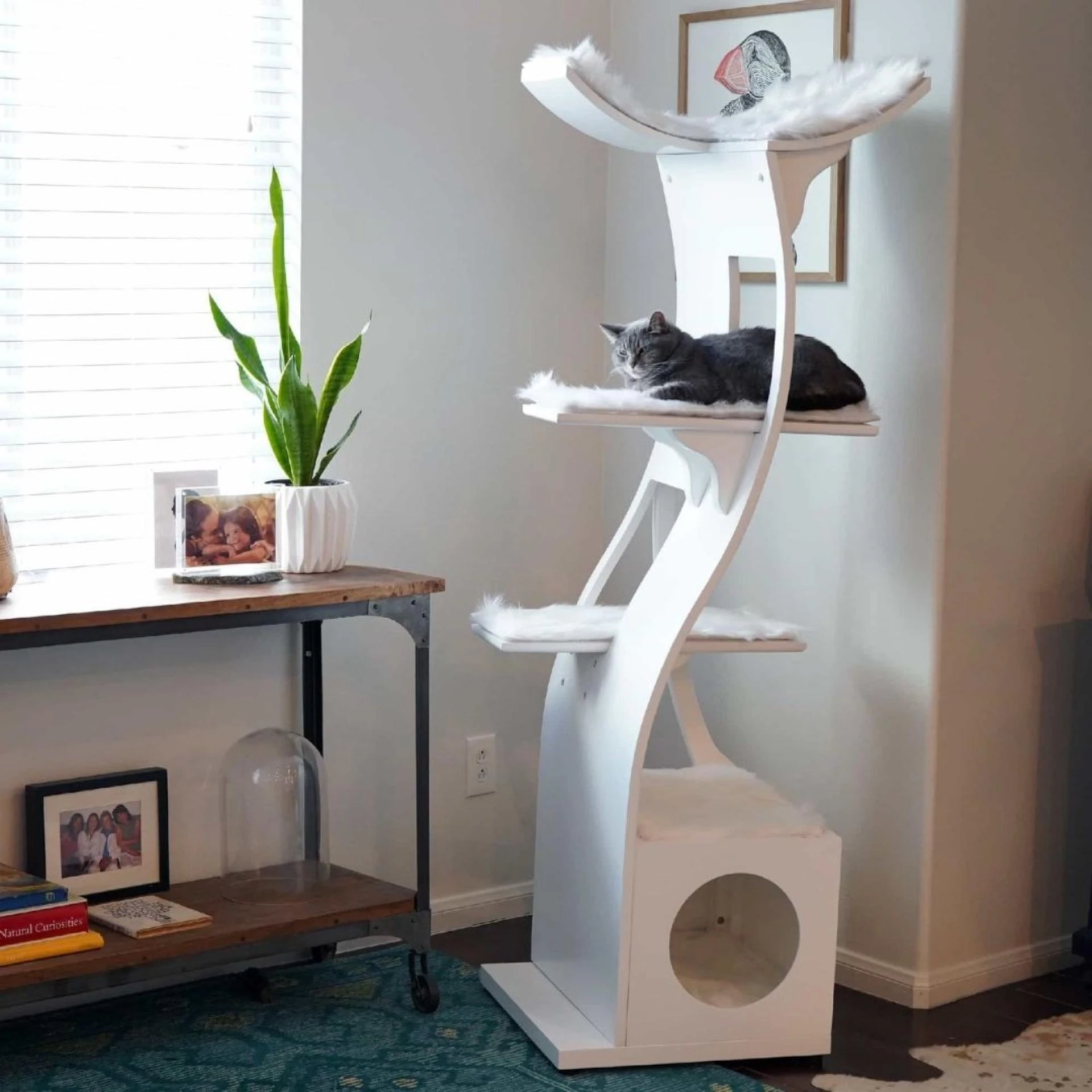 The Best Modern Cat Trees for Stylish Homes