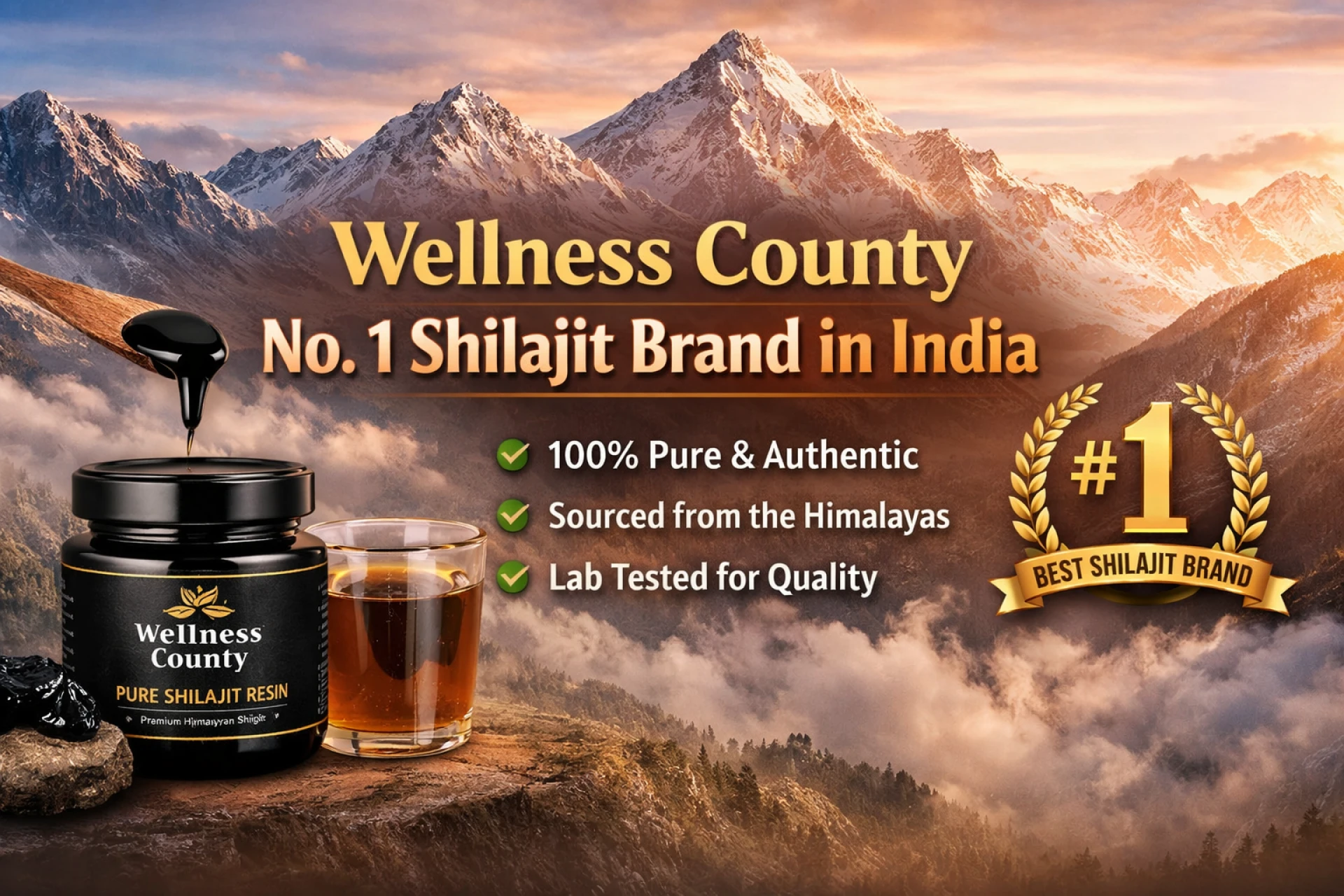 No.1 Shilajit Brand in India