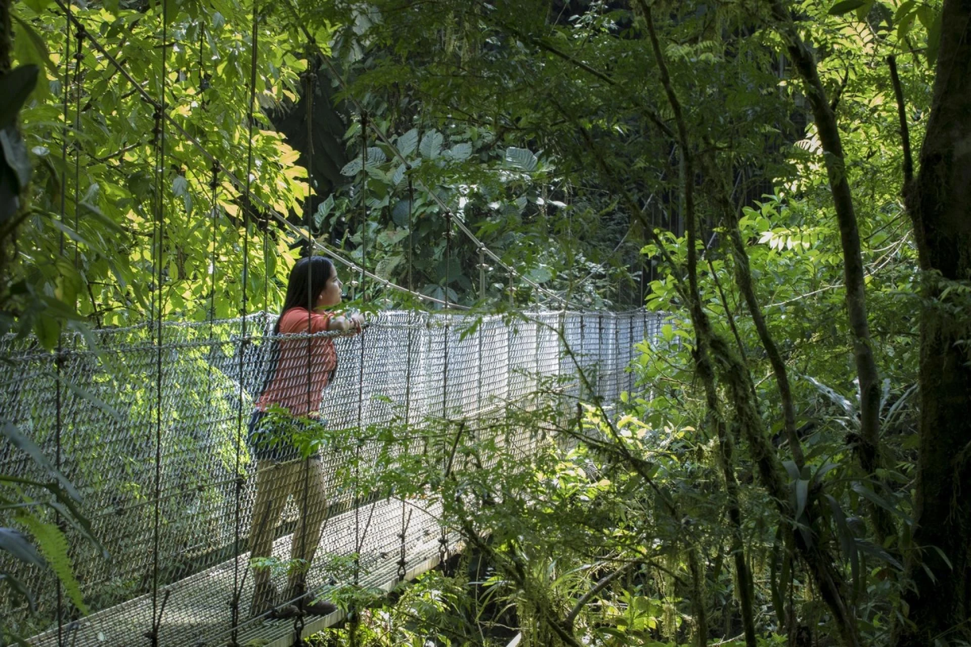 Hanging Bridges in La Fortuna: A Unique Way to Explore Costa Rica’s Rainforest