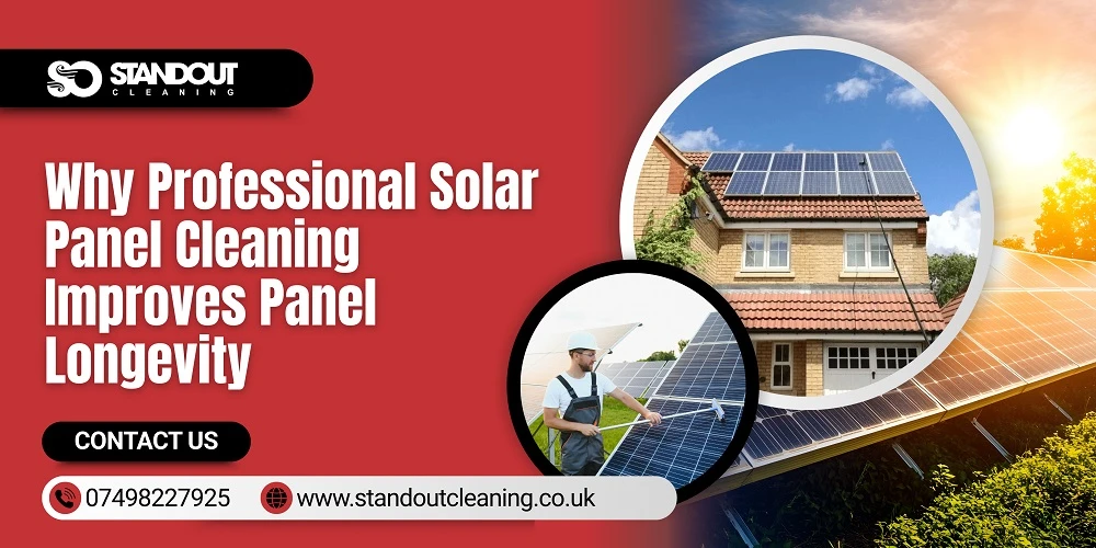 Why Professional Solar Panel Cleaning Improves Panel Longevity