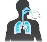 Expert Advice from a Respiratory Doctor: Protecting Your Lung Health