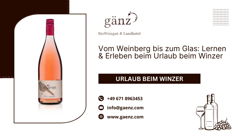 🍇🍷 Vom Weinberg bis zum Glas: Lernen & Erleben beim Urlaub beim Winzer