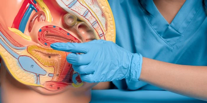 How Fatty Liver Symptoms Affect Your Daily Life