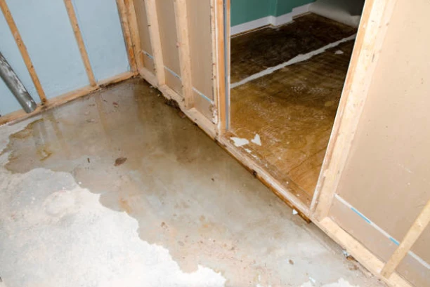 Best Practices for Preventing Water Damage Restoration Augusta, MI: A Strategic Guide to Basement Protection