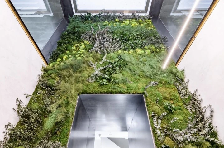 Jardines verticales: diseño, elegancia y funcionalidad para espacios modernos