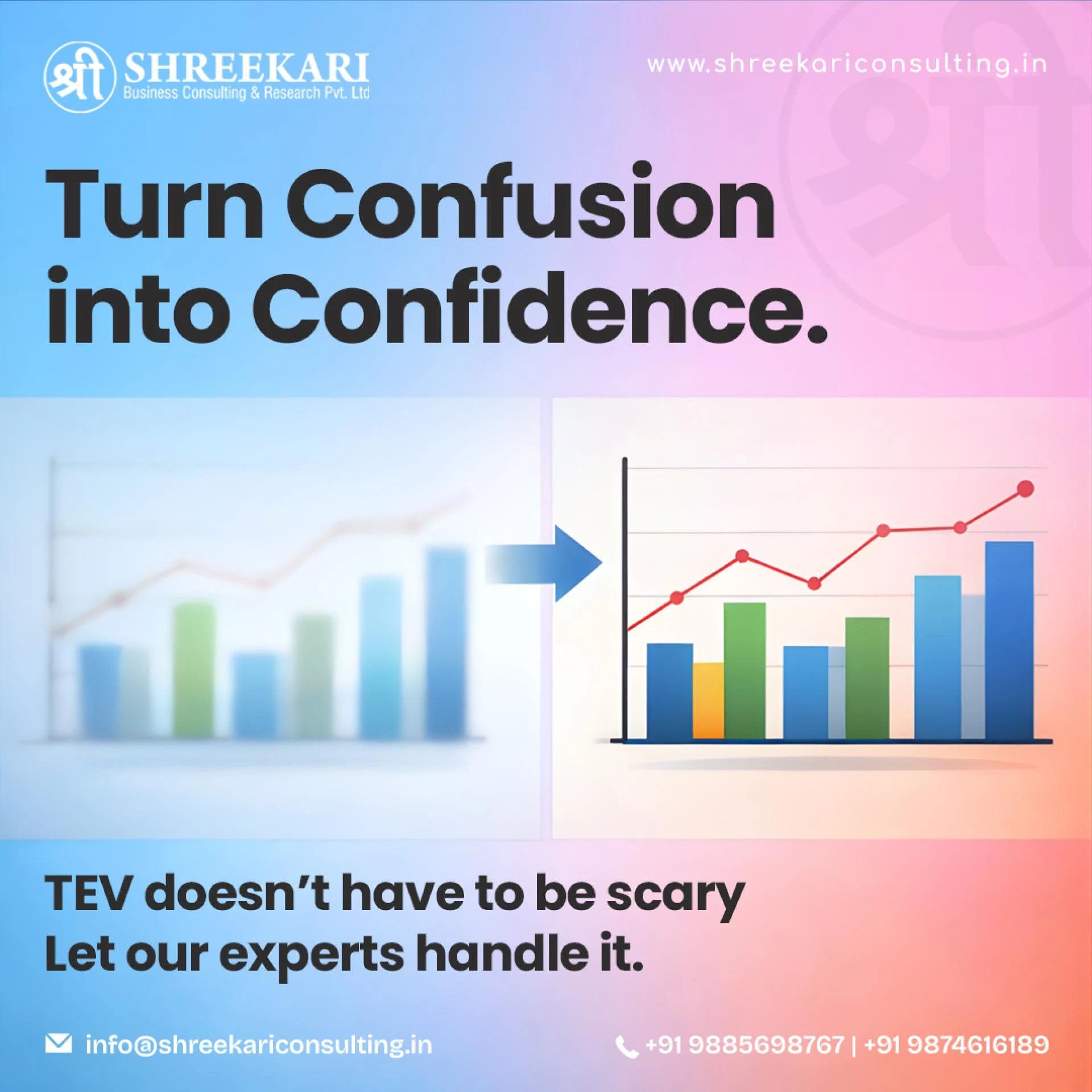 TEV Report & TEV Study Services in India for Energy and Infrastructure Projects