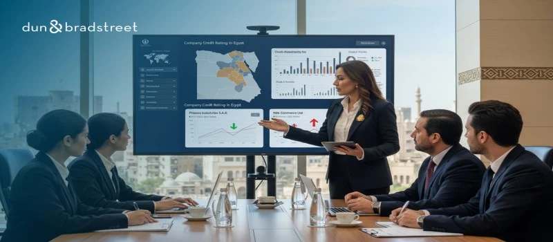 The Expanding Role of Marketing Research Companies in Egypt