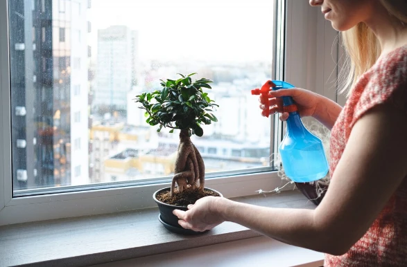  How Tidy Windows Impact Your Well-Being