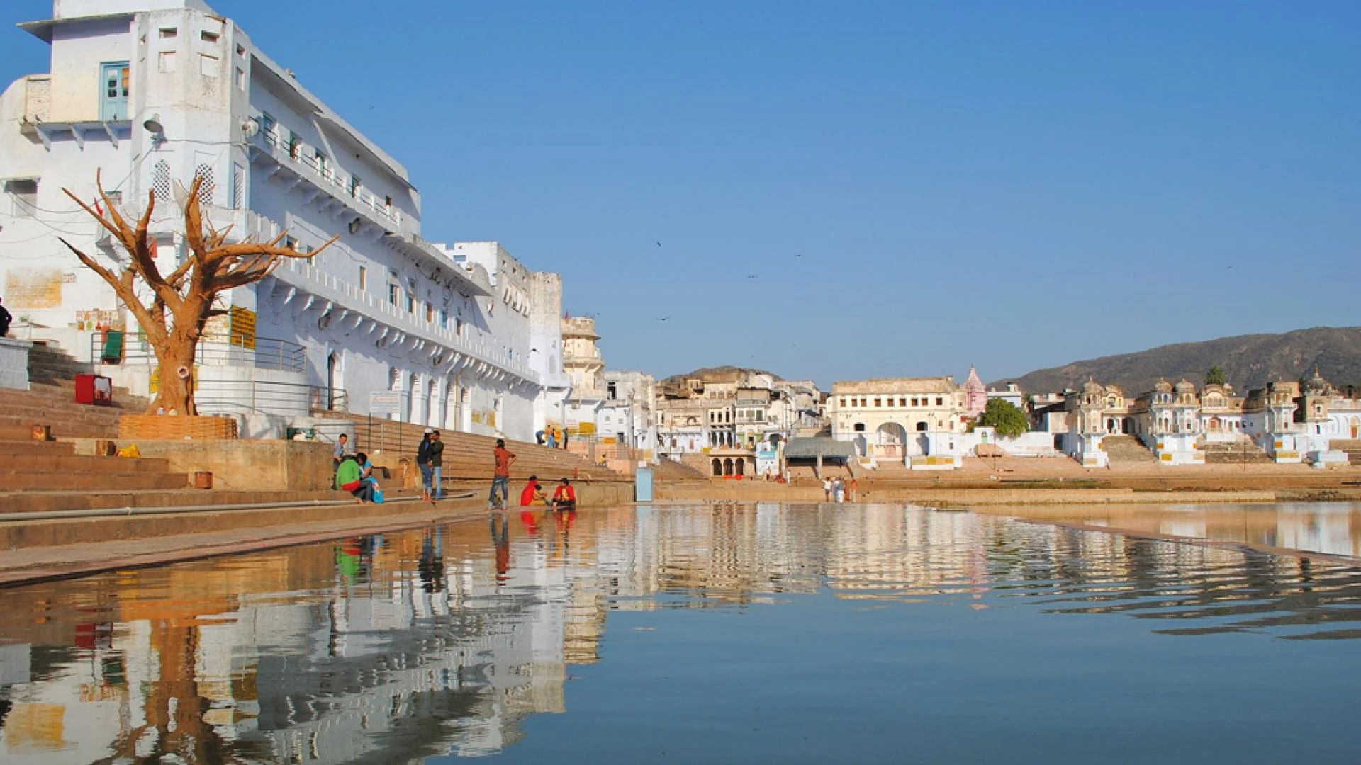 Pushkar Uncovered: Your Go-To Guide for Authentic Local Experiences