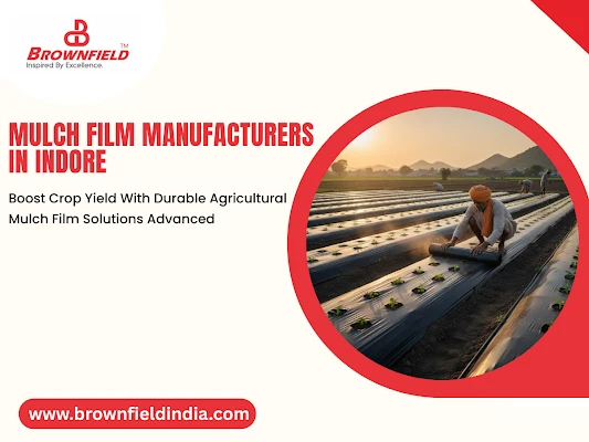 Expert Insights on Mulch Films in Indore: Sustainable Solutions for High-Performance Agriculture