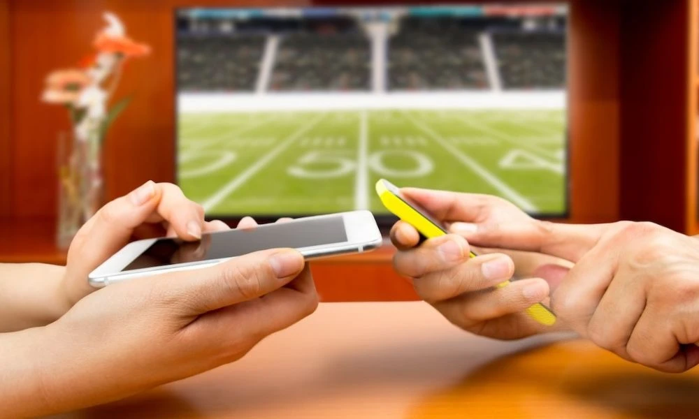 Top 7 Rules Everyone Should Know Before Online Cricket Betting