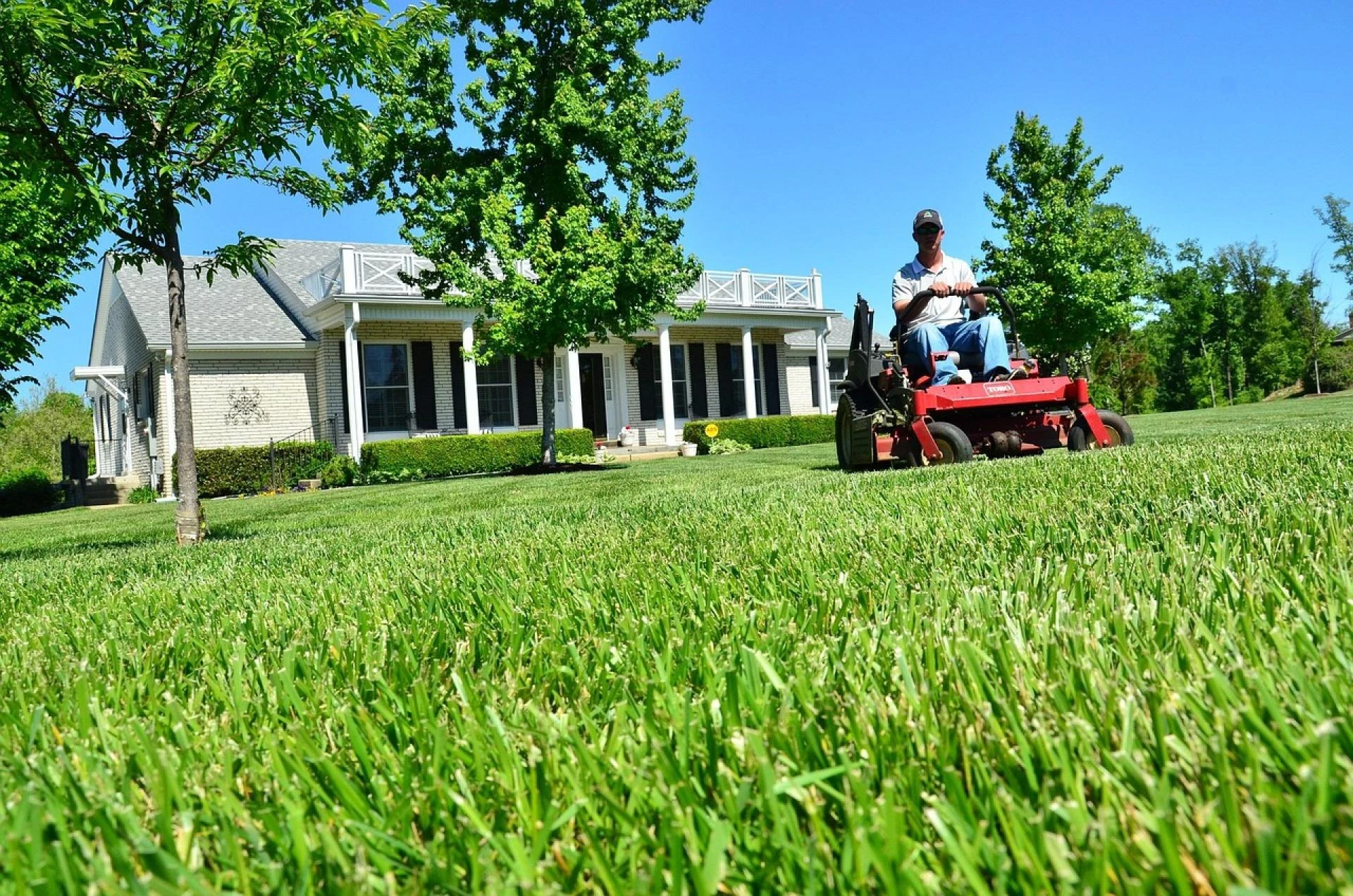 How a Landscaping and Lawn Care Contractor Handles Seasonal Lawn Challenges