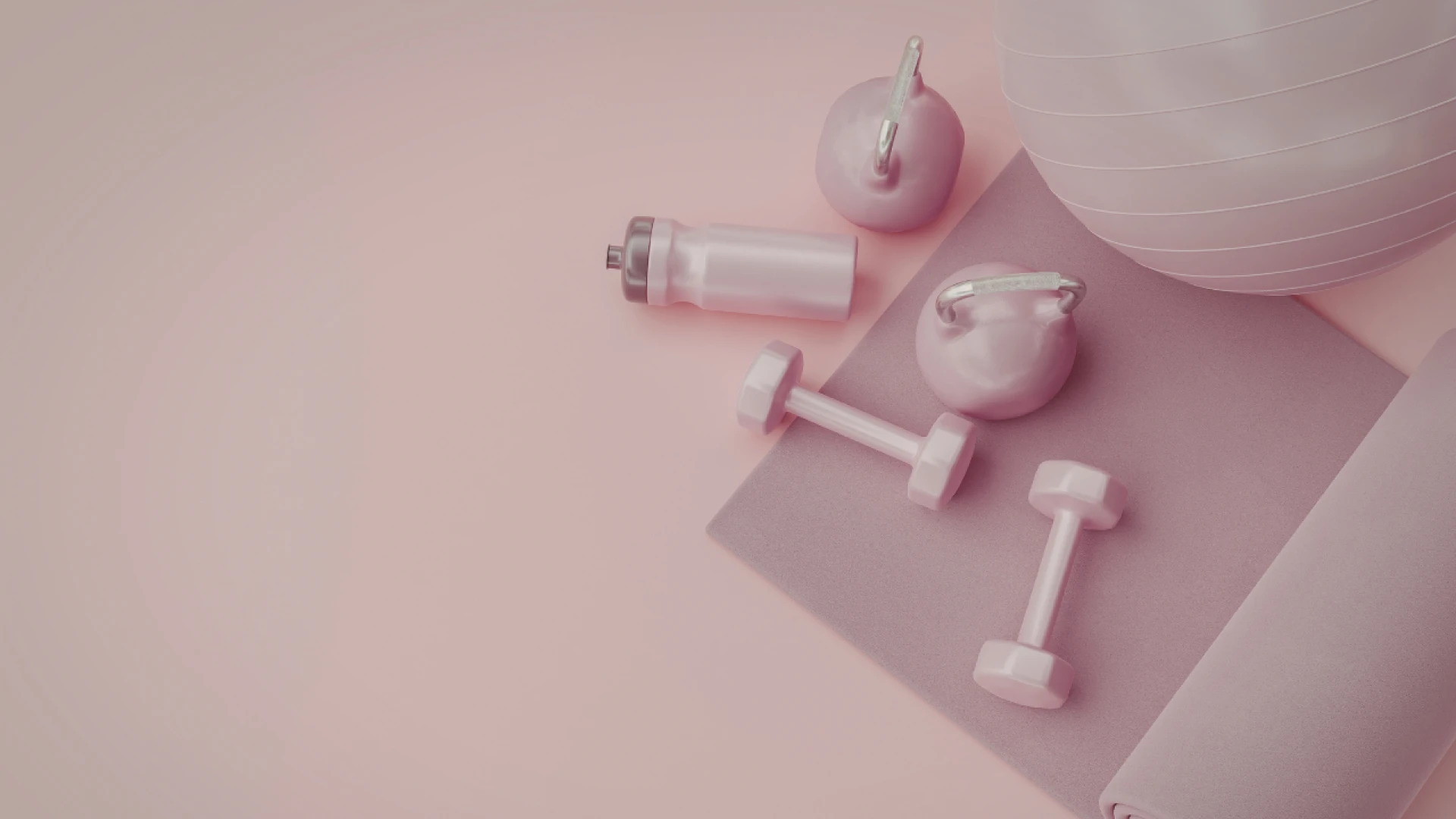 What to Look for When Buying from a Fitness Equipment Store