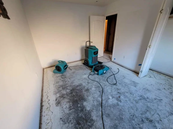 Water Damage Restoration Excellence: How to Dry Out Your Home After Water Damage