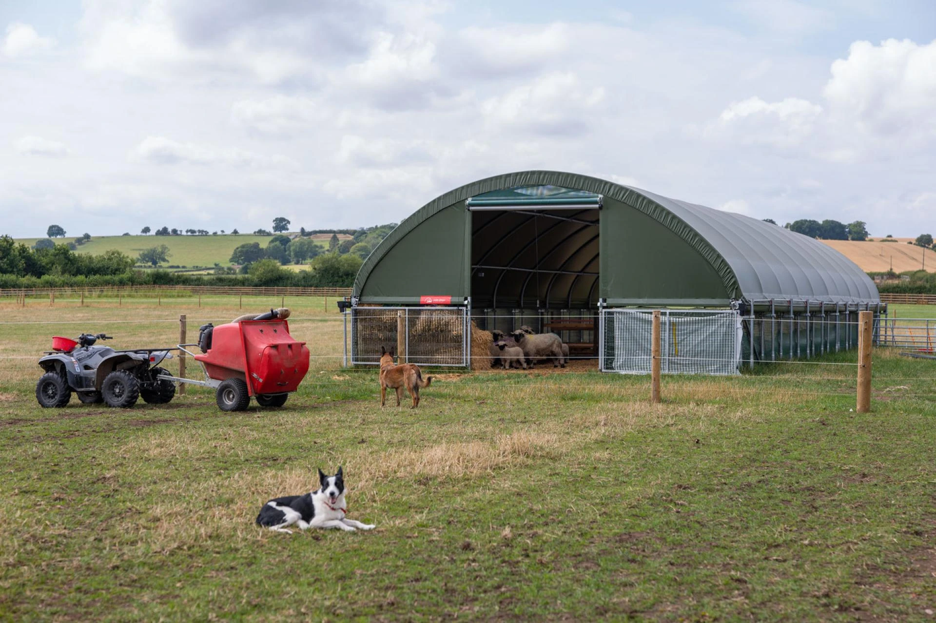 How purpose-built sheep sheds keep your flock clean, dry, and safe