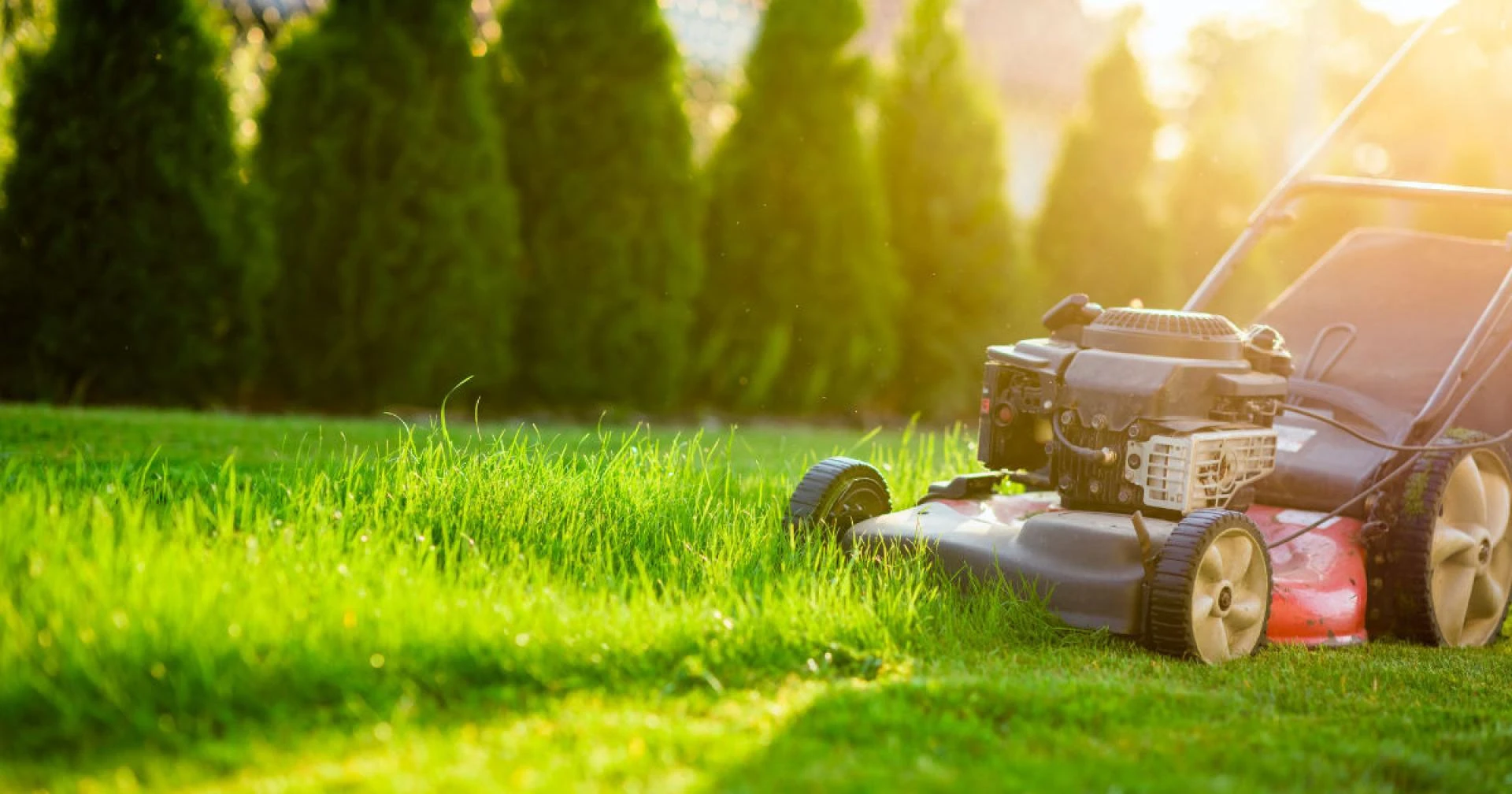 Why lawn and garden services reduce pests and mess?