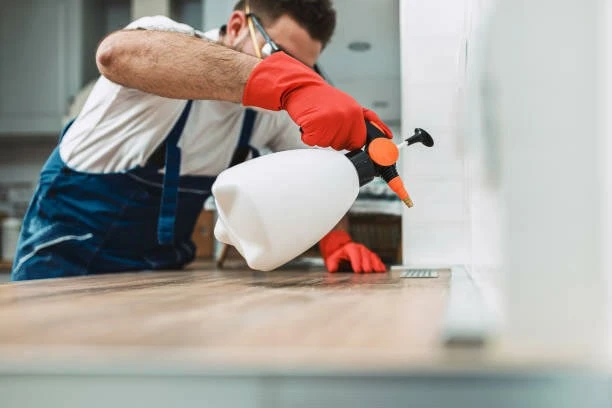 How to Pick the Best Exterminator in Cleveland, Ohio