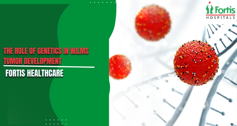 The Role of Genetics in Wilms Tumor Development