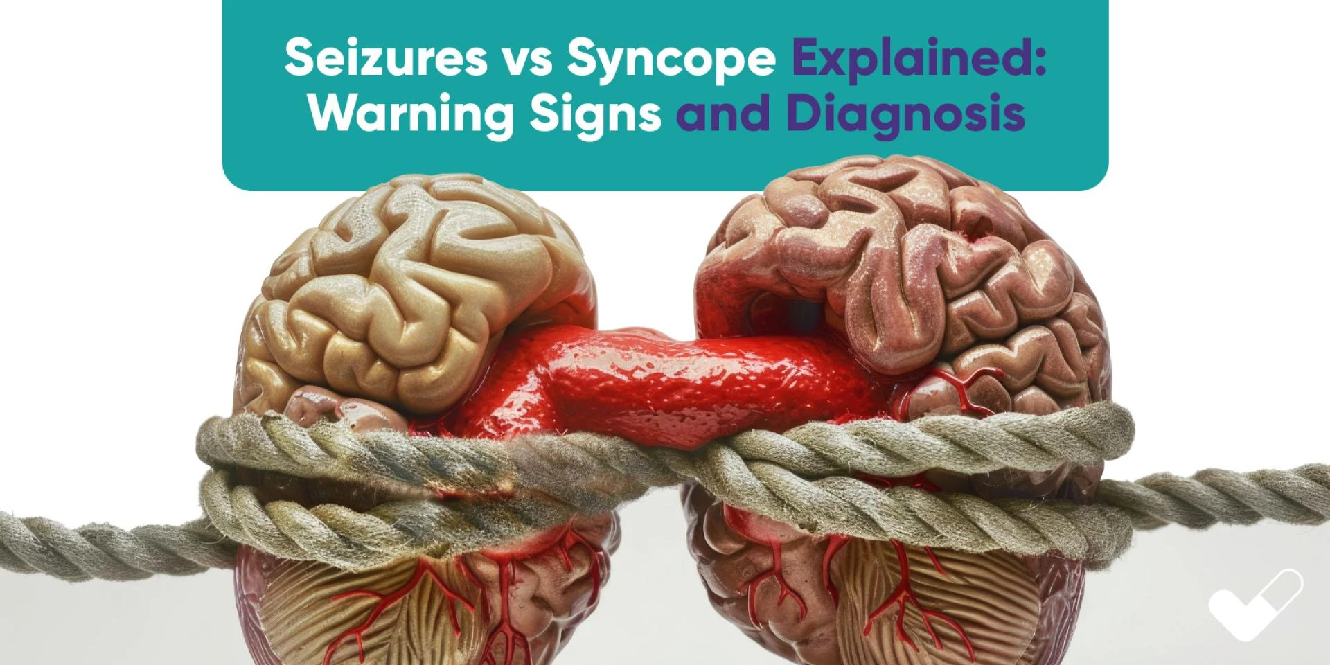 Seizures vs Syncope Explained: Warning Signs and Diagnosis