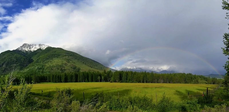 The Power of Solitude: Why a Private Meditation Retreat is the Ultimate Reset