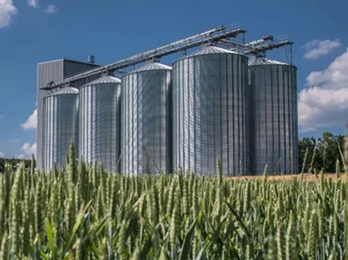 Paddy Silo Storage Tank